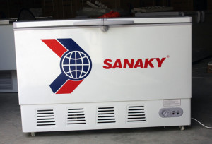 Tủ đông Sanaky VH-289W