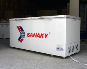 Tủ đông Sanaky 800 lít