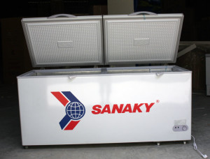 Tủ đông Sanaky Vh-865HY 800l