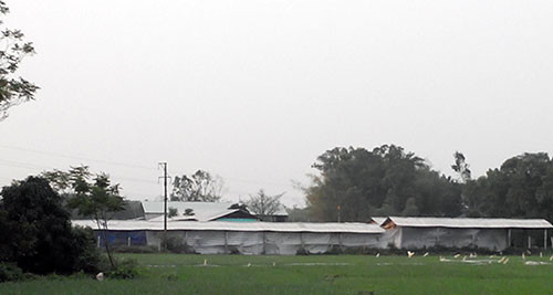 Tòan cảnh khu chăn nuôi và trồng nấm