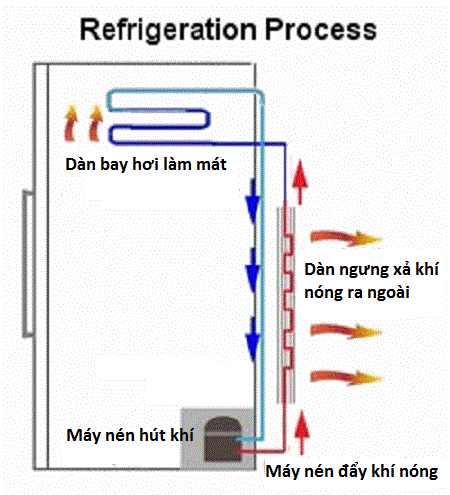 Hoạt động của tủ lạnh