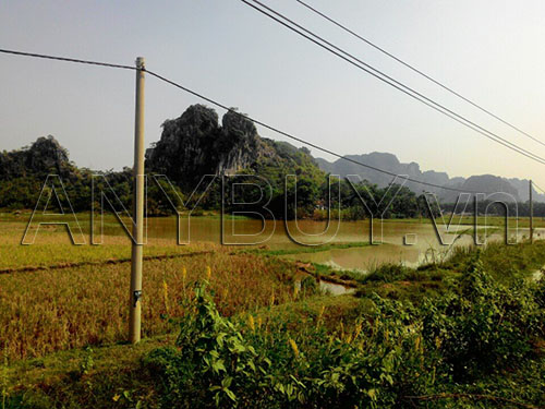 Ninh Bình 21-10-2015
