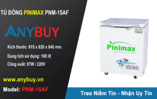 Giới thiệu tủ đông Pinimax PNM-15AF