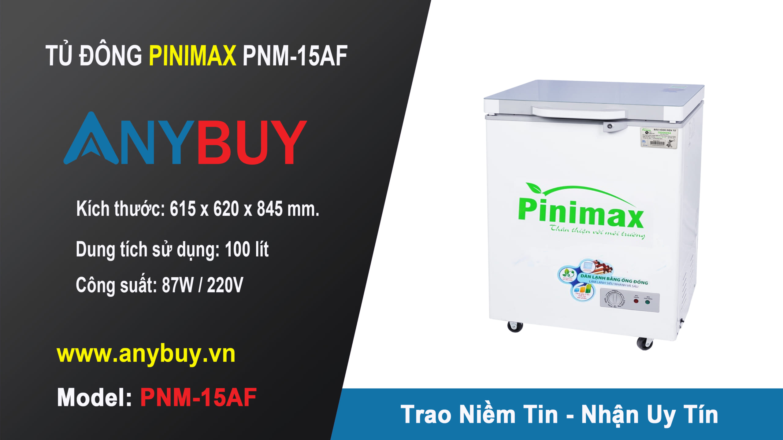 Giới thiệu tủ đông Pinimax PNM-15AF
