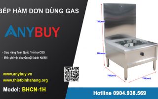 Bếp hầm đơn dùng gas BHCN-1H