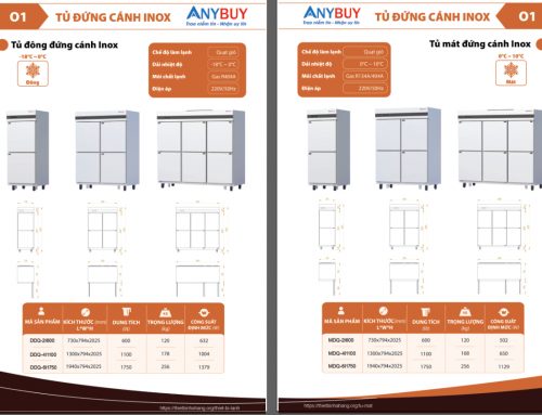 Catalogue Tủ Cấp Đông Lạnh ANYBUY