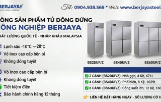 Vai trò của Tủ đông đứng công nghiệp Berjaya